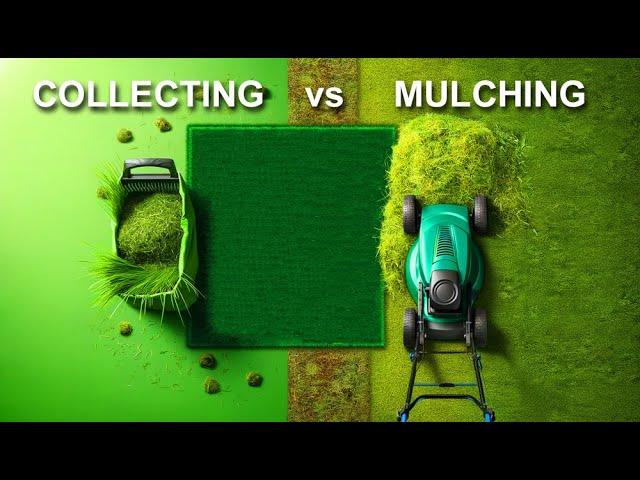 How Mulching Mowers Work Compared to Collecting Lawnmowers (by Craig Kirkman)