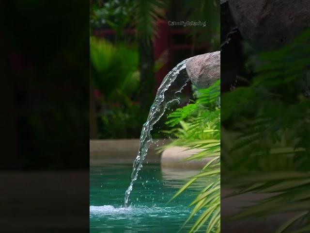 Serene Nature Soundscapes for Deep Relaxation