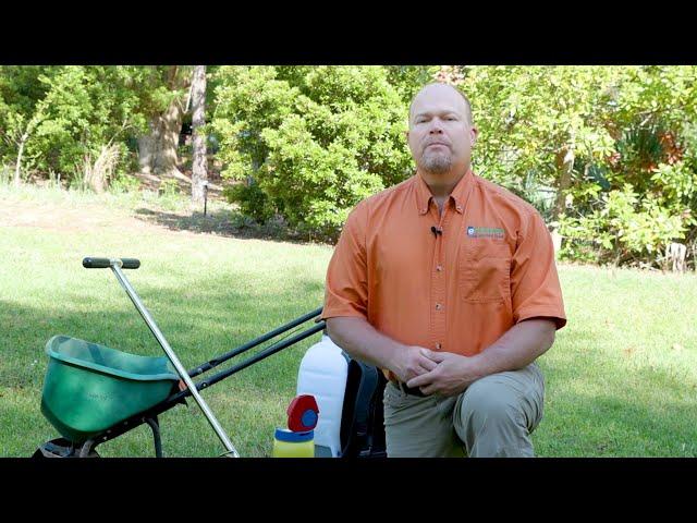 Alabama Smart Yards: Annual Weeds in Turf