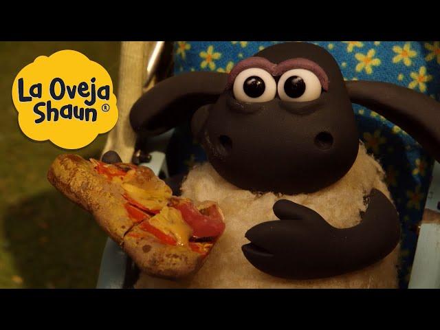 La Oveja Shaun  Fiesta de pizza  Dibujos animados para niños