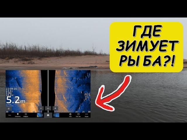 Где рыба ЗИМУЕТ?! Смотрим в эхолот...