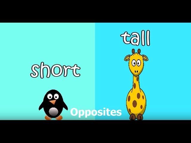 Opposites song for children