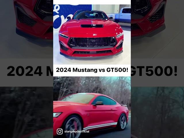 2024 Mustang vs Shelby GT500!