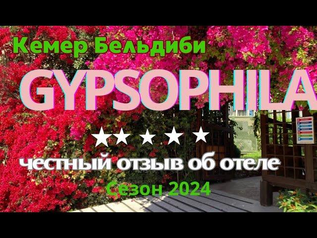 Отзыв об отеле Gypsophila Club Marine Кемер