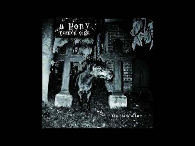 A Pony named Olga -  "Funny What You Pray"
