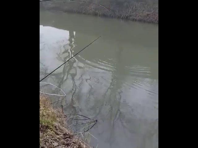 РЫБАЛКА В КБР !!!!НА ПОПЛАВОК НАСАДКА КУКУРУЗА С ЧЕРВЯЧКОМ