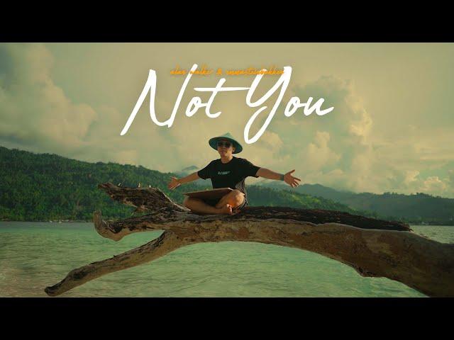 NOT YOU - Alan Walker (DJ Desa)