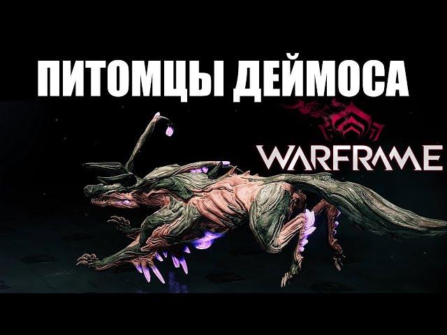 Warframe Лучший питомец за все время билд обзор