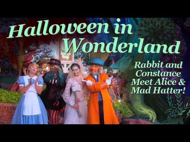 ~Rabbit The Robot~ Halloween in Wonderland