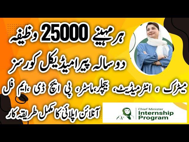 Chief Minister Internship Program 2024 | CM Give 25000 Stipend Month | Online Apply Jobs 2024