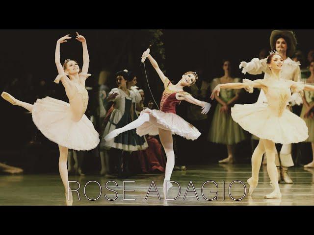 ROSE ADAGIO comparaison (part 1): Alina Somova, Ulyana Lopatkina, Oksana Skorik etc.