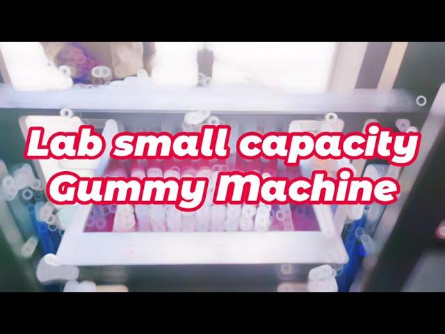 Lab small capacity gummy candy machine