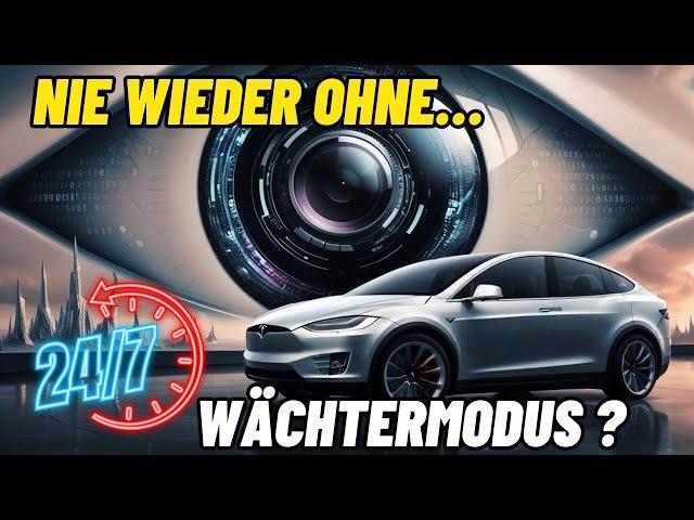 Feindbild Teslafahrer! Nie wieder Parken ohne Wächtermodus?