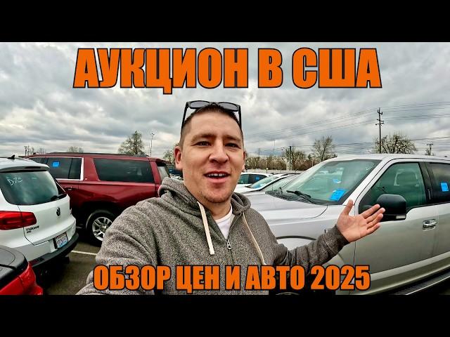 Обзор целых машин на Аукционе | Цены на Авто в США 2025