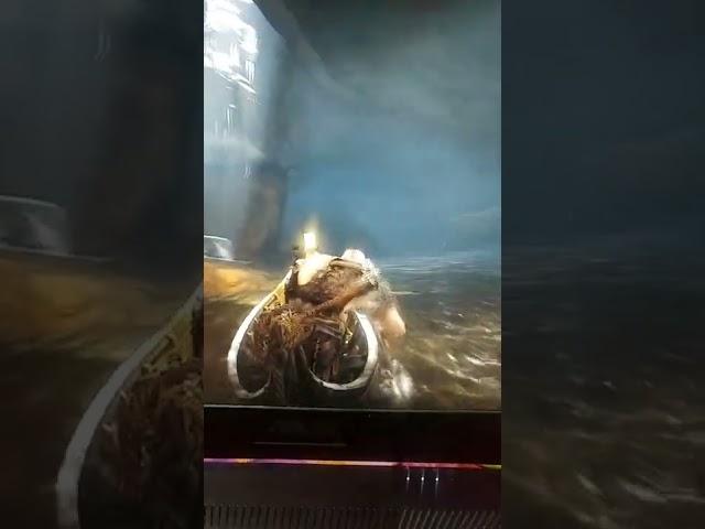 god of war #2