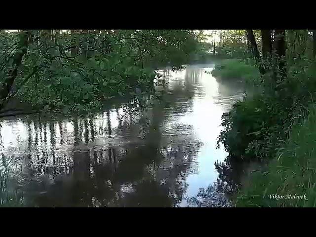 Мар Байжиевдин "Бир тоголок самын" аңгемеси. 1-бөлүк.