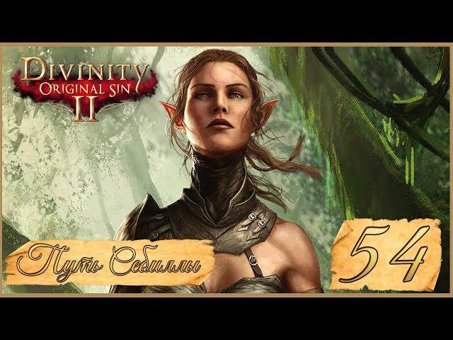 Divinity: Original Sin II  54: Джаан и ведьма