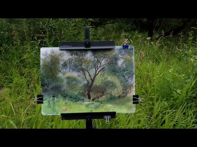 20230718 Willow. Plein air watercolor.