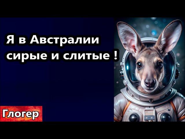 Живу в Австралии , сирые и слитые  ! 99% Не столько глупые сколько трусливые !#америка #сша #глогер