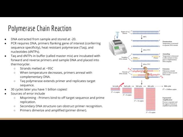 Molecular Biology Techniques