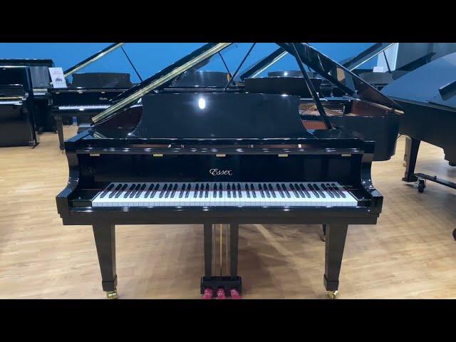 New Steinway Essex EGP-173 Classic