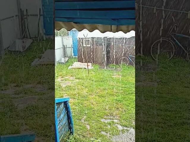 The heaviest downpour️