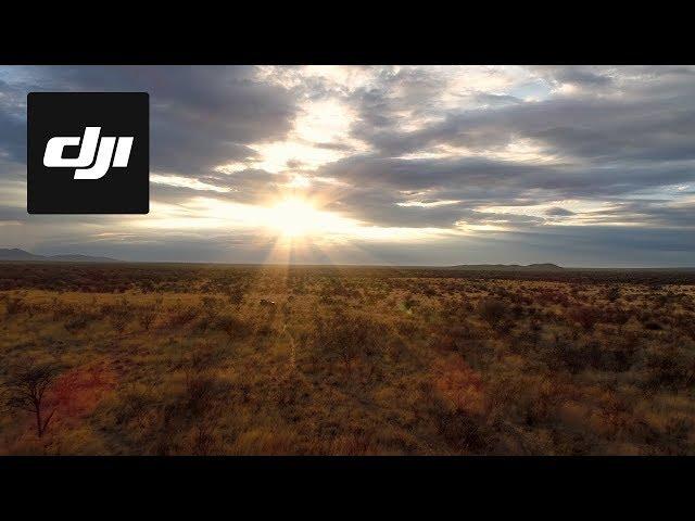 DJI Stories - Behind the Scenes: Kingdom of the Wild