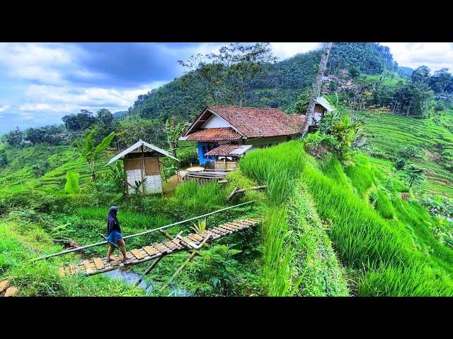 DIJAMIN BETAH MENIKMATI HIDUP DI KAMPUNG YANG INDAH ALAM DESANYA, SUASANANYA ADEM, AYEM & TENTRAM