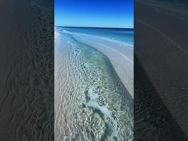 DISCOVERING HIDDEN GEMS TIDE POOL MAGIC ON THE EMERALD COAST #beach #travel