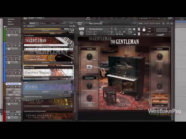 The Gentleman Review Komplete 11 Select Native Instruments | Westlake Pro