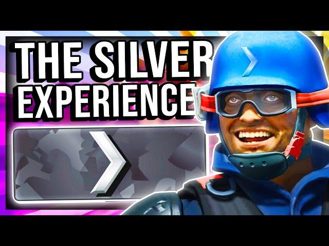 THE SILVER EXPERIENCE