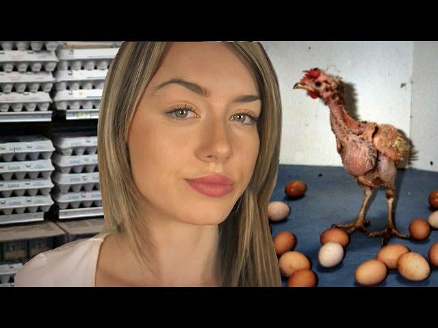 What's Wrong With Eggs? The Truth About The Egg Industry 