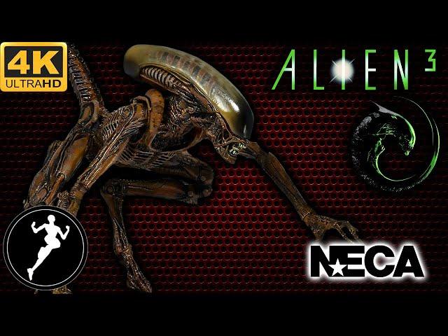 Обзор фигурки Чужой Собака/Ultimate Dog Alien. (NECA)