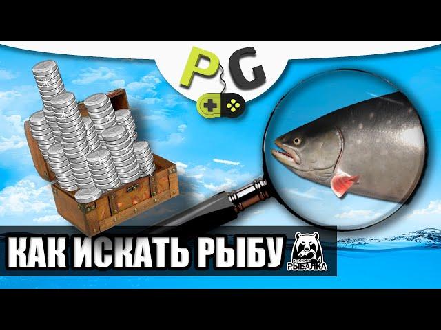 Русская Рыбалка 4 - Как искать рыбу, гайд для новичков