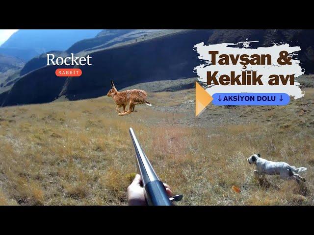 TAVŞAN & KEKLİK AVI.tavşan hızlı çıktı. keklikler uzak uçtu. #partridgehunting #partridge #keklik