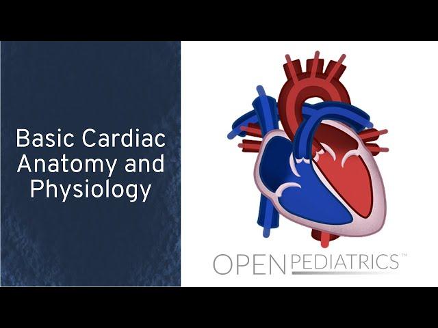 Basic Cardiac Anatomy and Physiology by N. Braudis, A. Olszewski | OPENPediatrics
