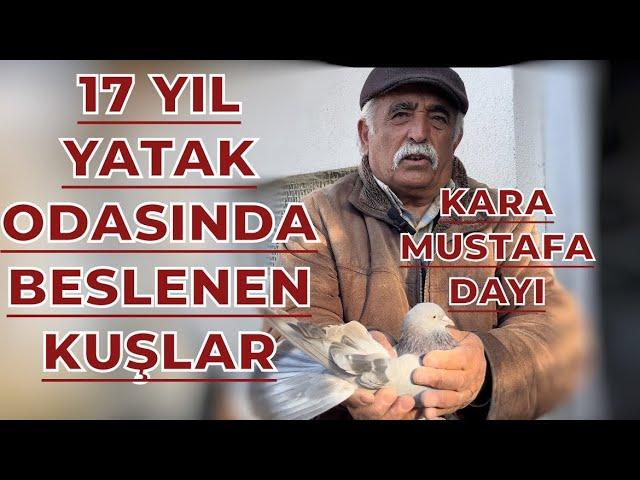 KUŞLAR İÇİN 17 EVİNİ SATTI NE GÖRÜLDÜ NE DUYULDU - KARA MUSTAFA DAYI KÜMES ZİYARETİ OYUNKUŞU UÇUMU