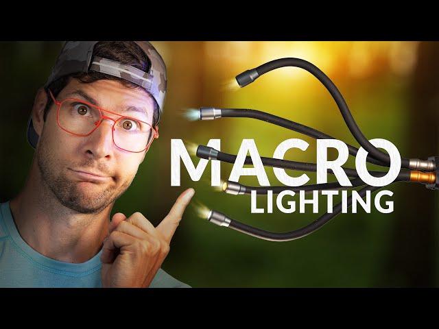 Flexible Macro Photography Lighting - Forest Walk