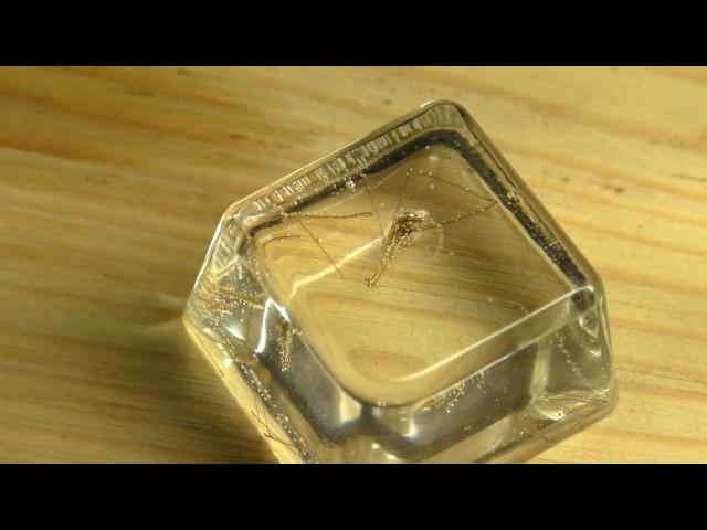 Насекомые в ЭПОКСИДНОЙ СМОЛЕ \\ How to encapsulate insects In EpoxyResin