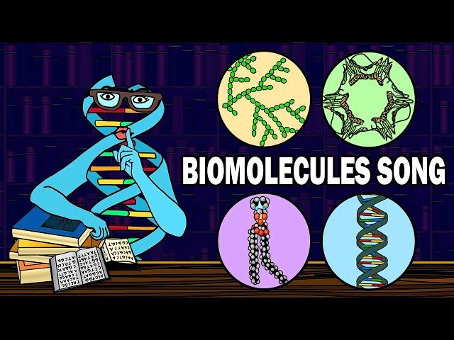 THE BIOMOLECULES SONG