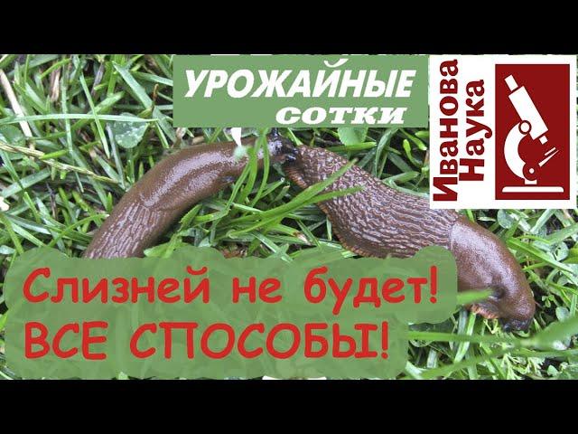 ИЗБАВИТЬСЯ ОТ СЛИЗНЕЙ БЕЗ ХИМИИ! Все способы борьбы со слизнями в одном видео!