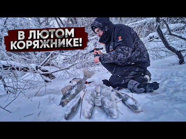 Глухой КОРЯЖНИК полон КРУПНОГО судака, леща, сазана / ЭКСТРЕМАЛЬНАЯ рыбалка в - 30 на ОБИ