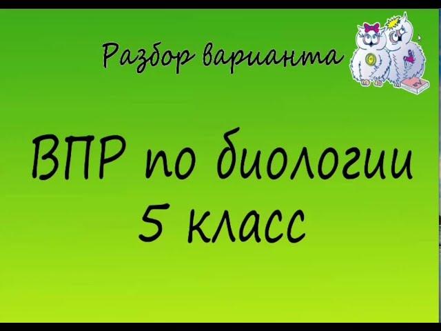 Биология. Разбор варианта ВПР по биологии 5 класс. Вариант 1