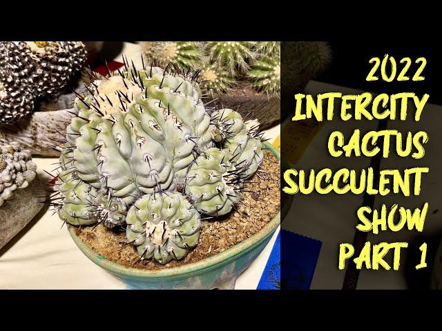 Part 1: 2022 Intercity Cactus and Succulent Show Tour