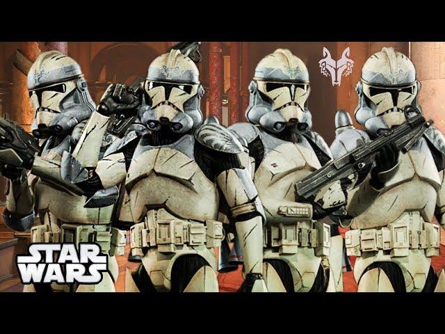 104th Clone Trooper Battalion [The Wolf Pack] Fully Explained