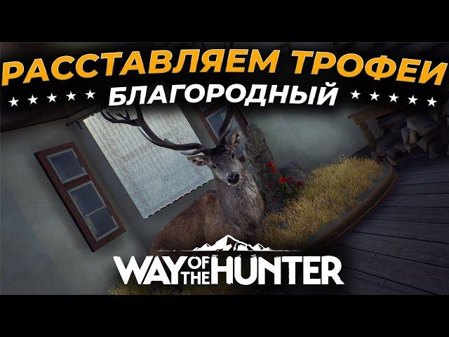 [СТРИМ] Way of the Hunter  5-ЗВЕЗД БЛАГОРОДНЫЙ ОЛЕНЬ  - РАССТАВЛЯЕМ ТРОФЕИ