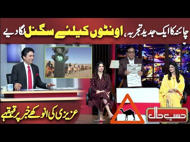 China Ka Ek Jadeed Tajarba Aunton ke Liye Traffic Signal Laga Diye | Azizi As Reporter | Hasb e Haal