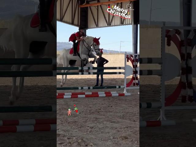 Jumping elf is here  Merry Xmas ️ #gilaryeq #equestrian #showjumping #xmas #horse #fyp