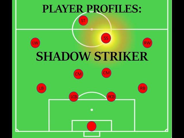 Player Roles - Shadow Striker