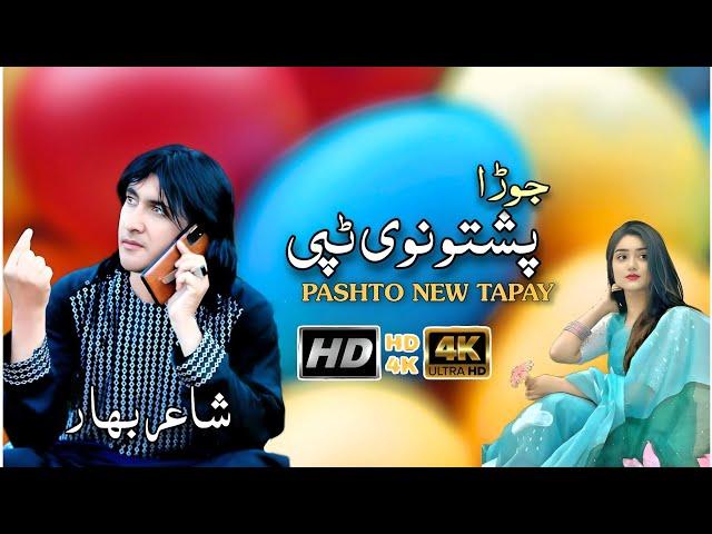 Pashto New Tapay 2024|Hd Video|Taj Mohammad Motonwall|Pashto New Song 2024